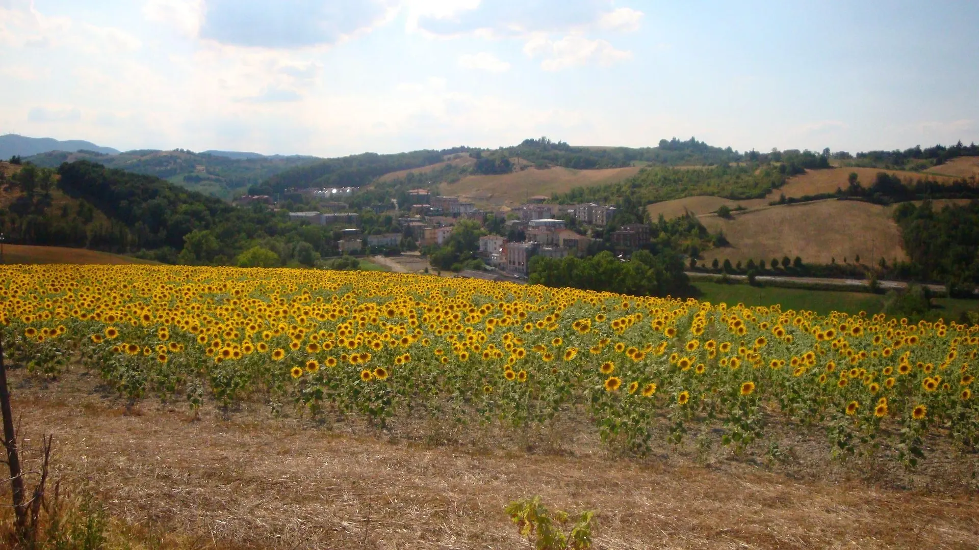 Garden Hotel Tabiano Salsomaggiore Terme